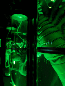 district espace game arles area 51