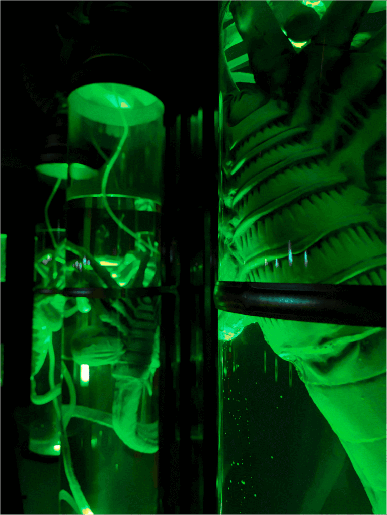 district espace game arles area 51