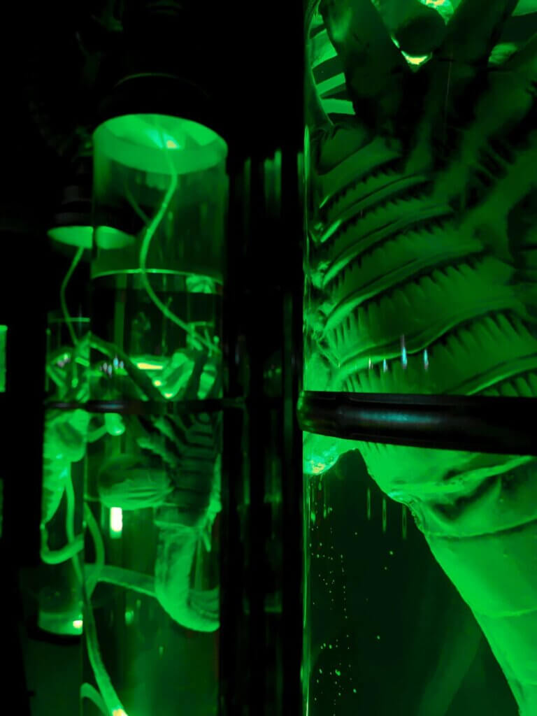 getback arles escape game arles